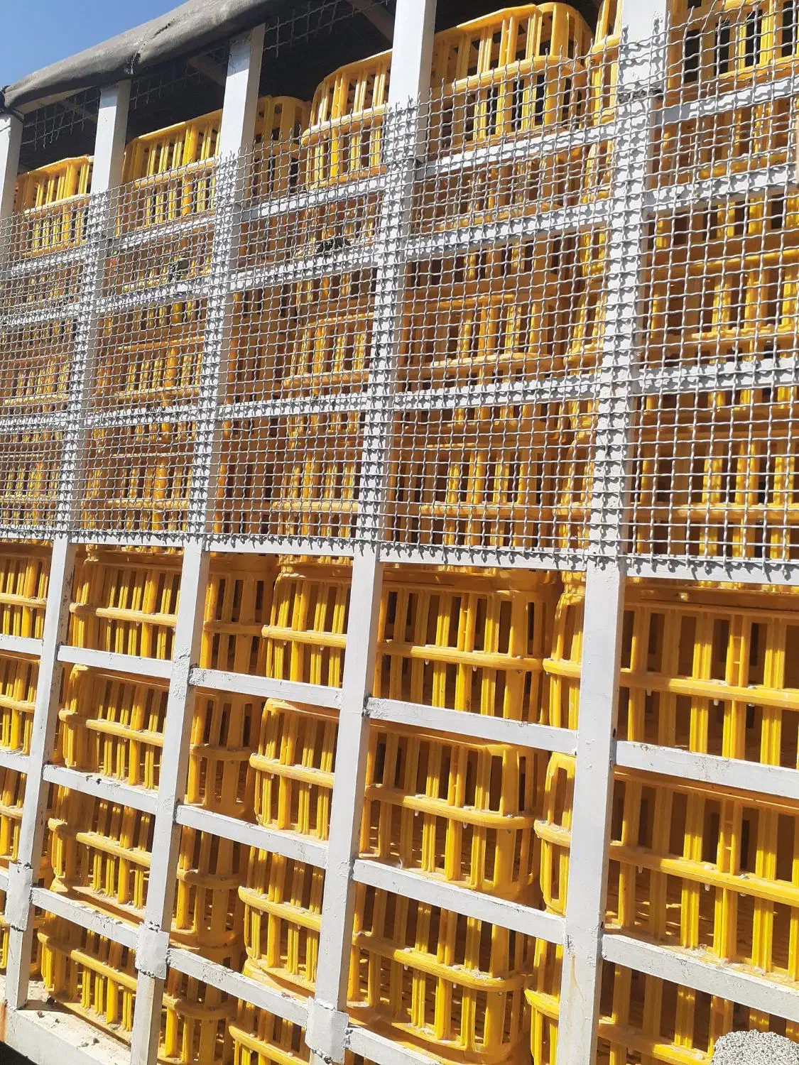 اتاق مرغی تک بنز|قطعات یدکی و لوازم جانبی|کوهدشت, |دیوار