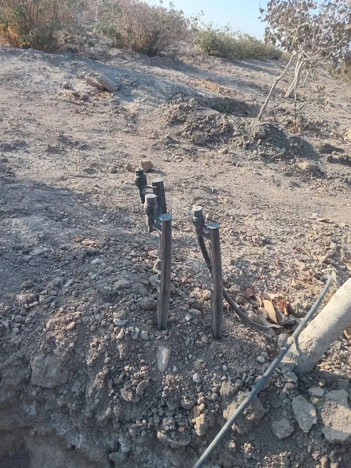 شیر بابلر ۱۲|ابزارآلات|مه ولات, |دیوار