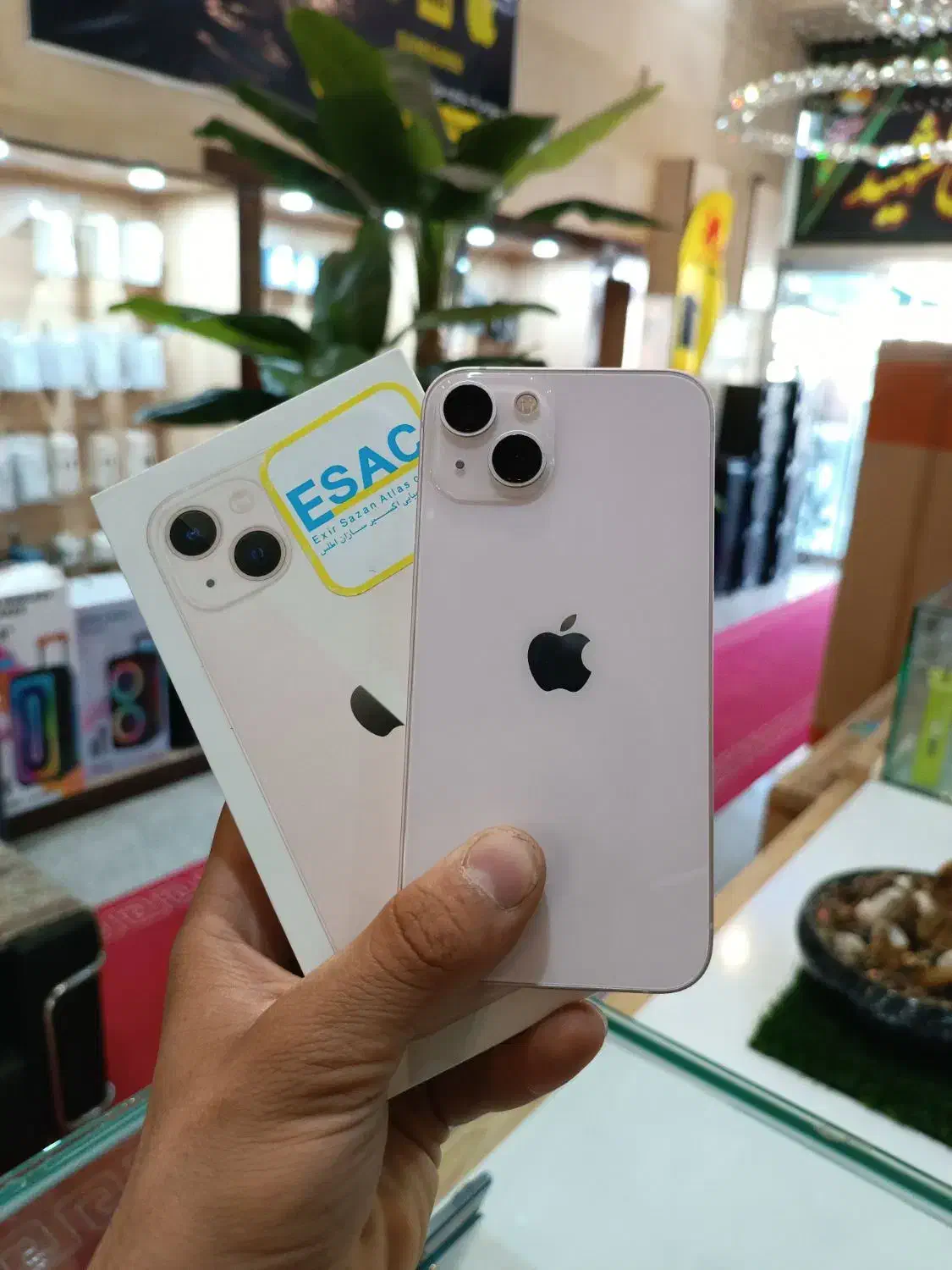 آیفون 13 صورتی|موبایل|یزد, |دیوار