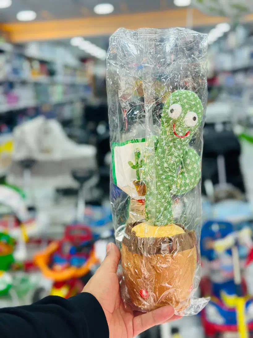 کاکتوس|اسباب‌‌بازی|آفتاب, |دیوار