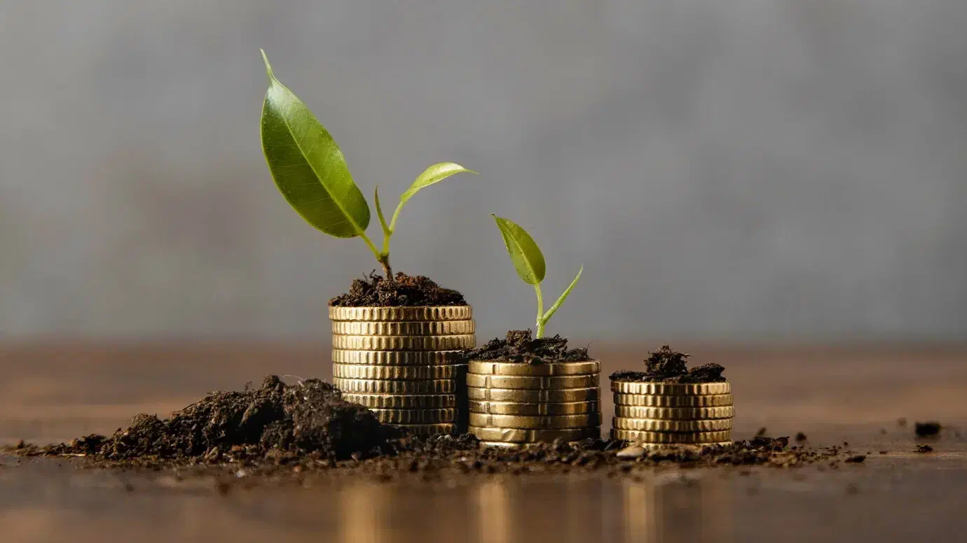 10 روزه|خدمات مالی، حسابداری، بیمه|شیراز, تپه تلویزیون|دیوار