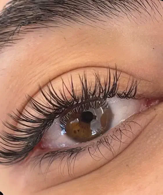 مژه|خدمات آرایشگری و زیبایی|مشهد, سید رضی|دیوار