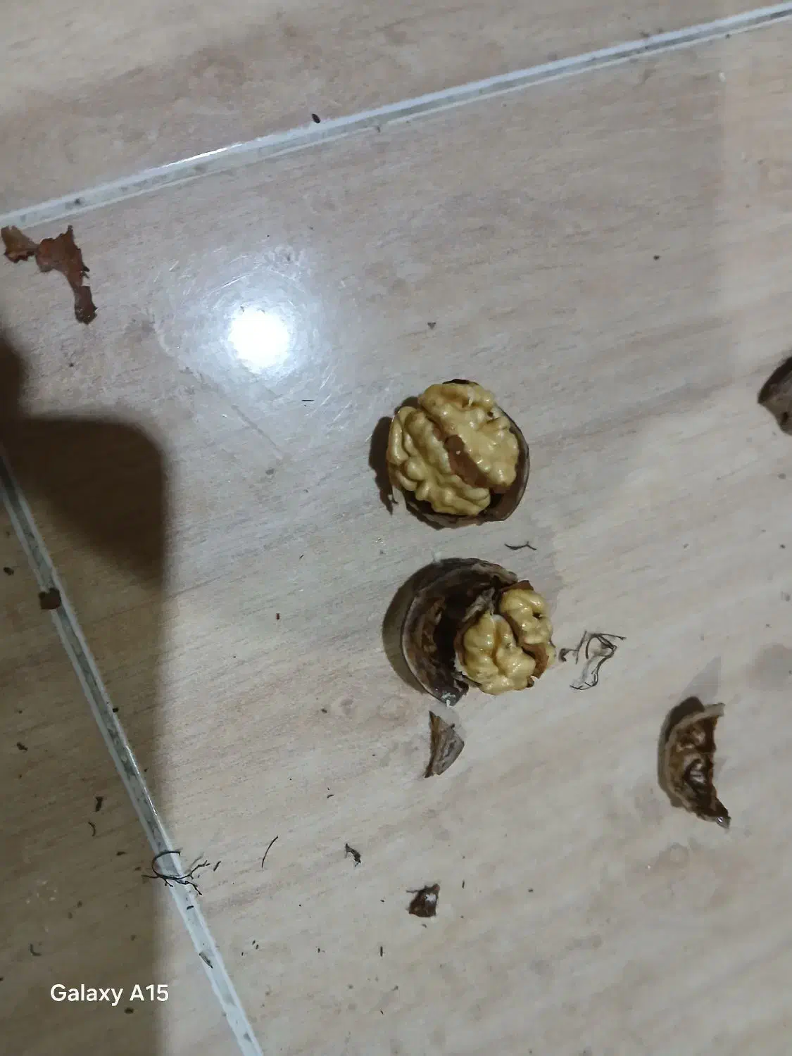 گردو وکشمش پاک شده|خوردنی و آشامیدنی|ارومیه, |دیوار