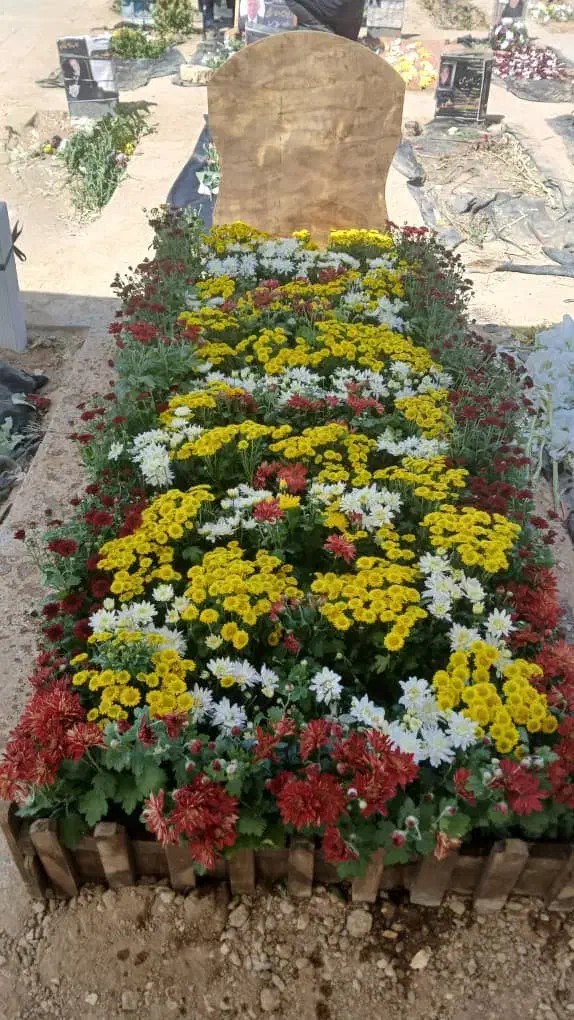 باغچه کاری تزین کاری|گل و گیاه طبیعی|شاهین‌شهر, عطار|دیوار