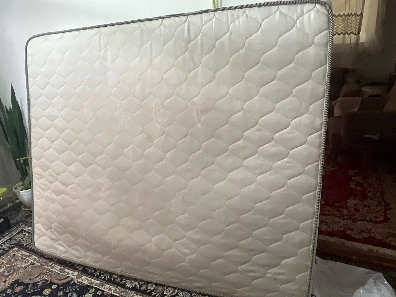 تشک طبی فنری|تشک تختخواب|تولم شهر, |دیوار