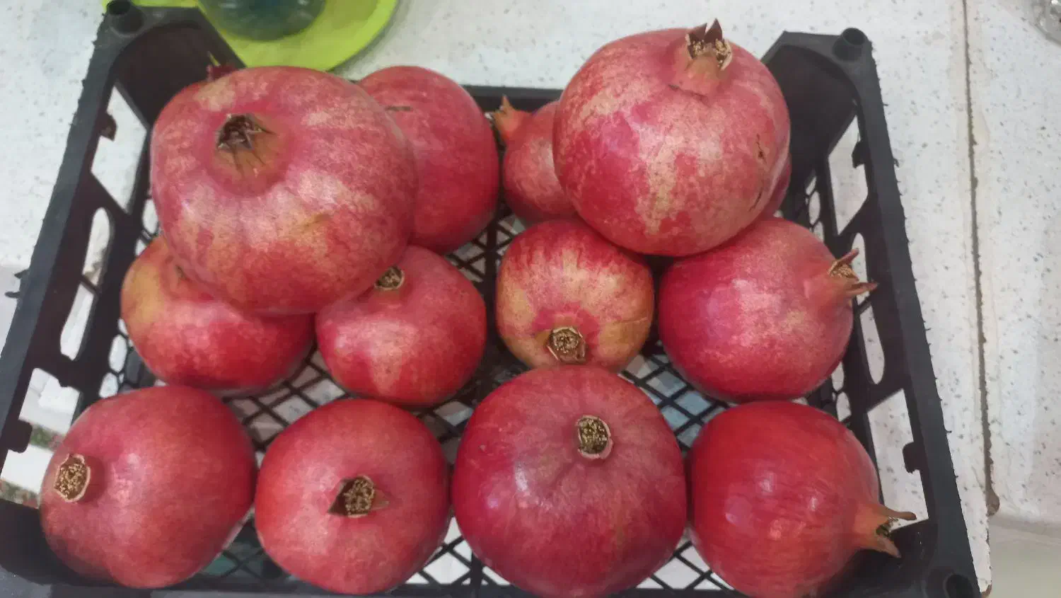 انار عمده رباب صادراتی با کیفیت بسیار بالا|عمده‌فروشی|تهران, تهرانپارس جنوبی|دیوار