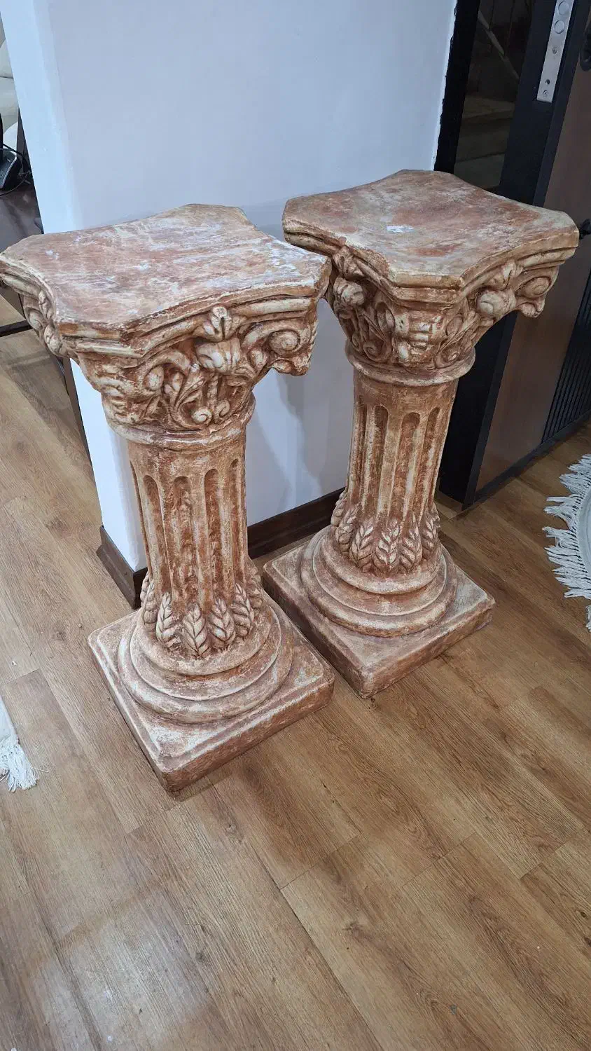 گل مقاوم|گل و گیاه طبیعی|قم, انسجام|دیوار