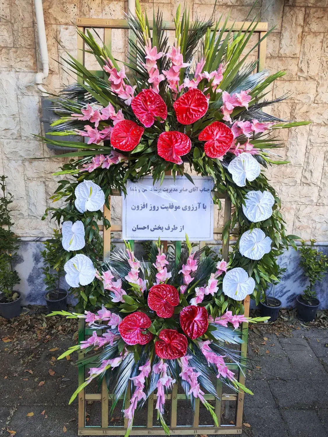 پایه گل تبریک/ افتتاحیه/ تاج گل افتتاحیه هدیه|گل و گیاه طبیعی|مشهد, فرهنگیان (شهرک غرب)|دیوار