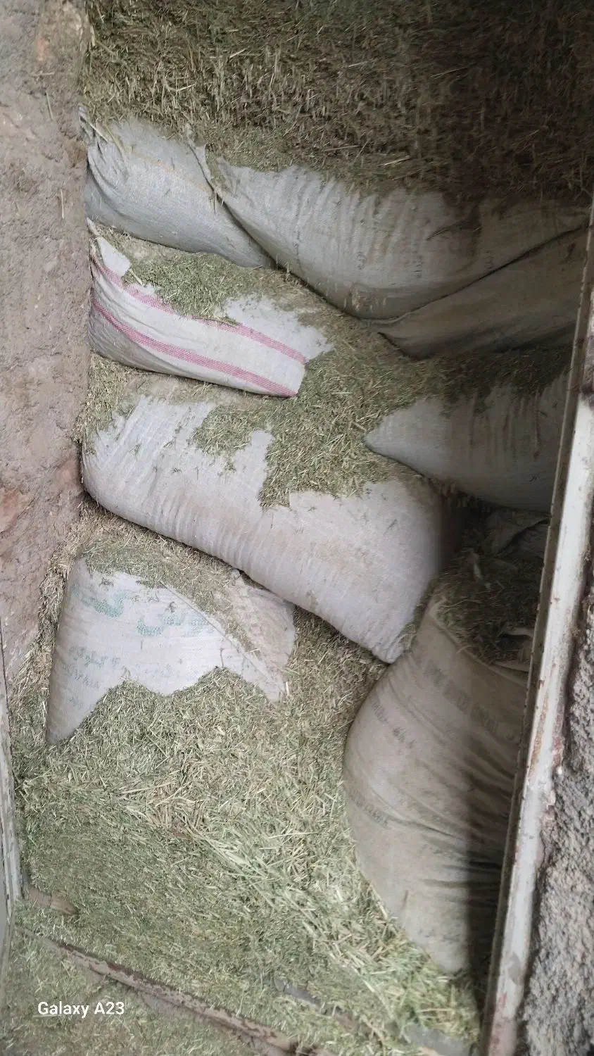 کاه|لوازم جانبی حیوانات|خرم‌آباد, |دیوار