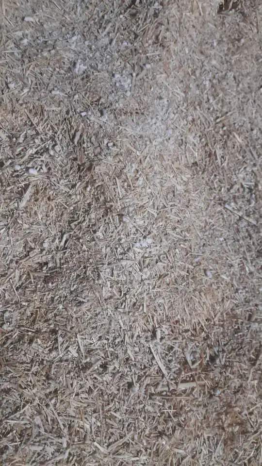 کاه لوبیا|حیوانات مزرعه|الیگودرز, |دیوار