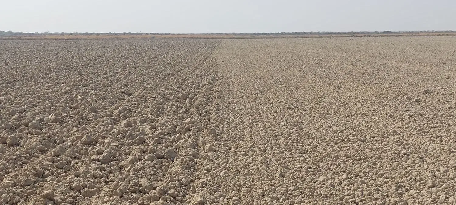 اماده سازی زمین با کلوخ شکن تسطیح لیزری|خدمات باغبانی و درختکاری|بندر ماهشهر, |دیوار