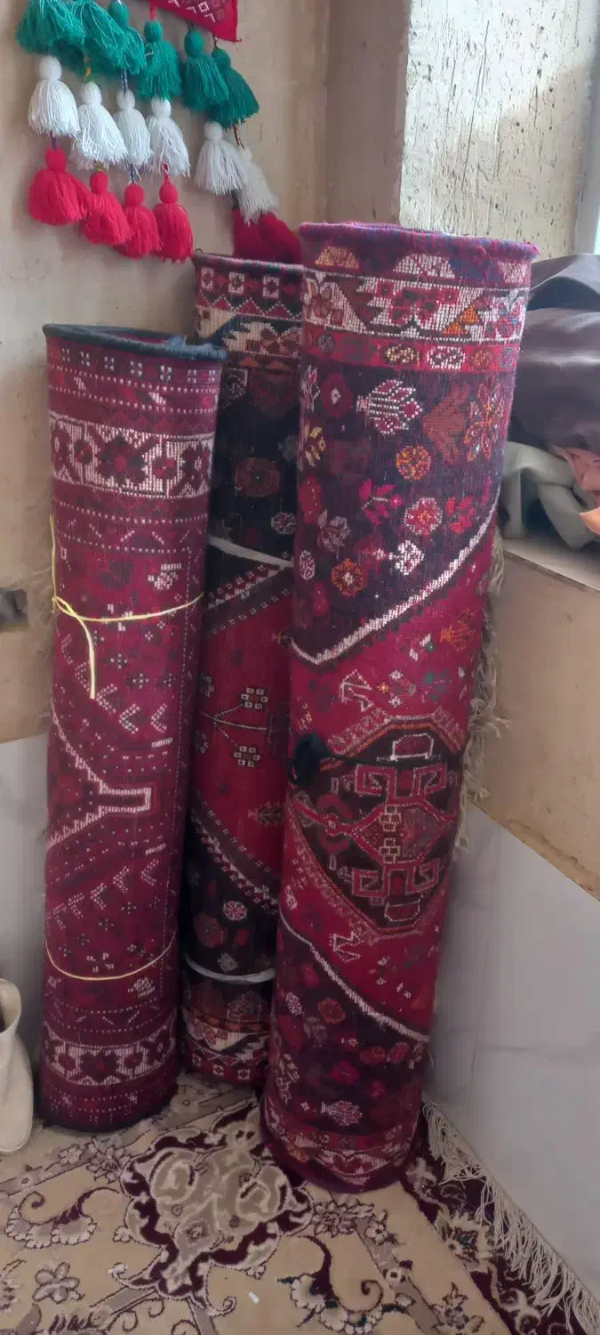 قالی دست باف|فرش|جهرم, |دیوار