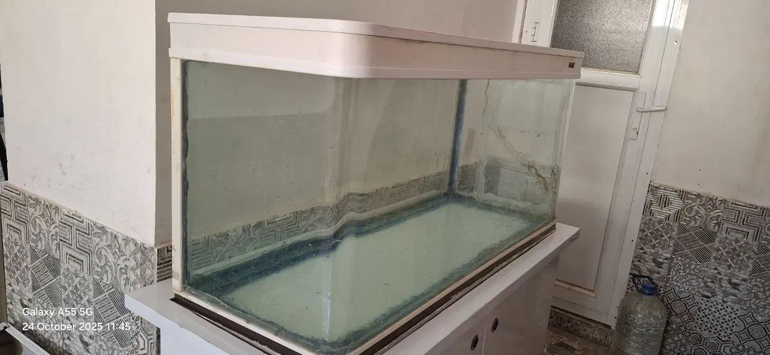 آکواریوم|ماهی|آبادان, |دیوار