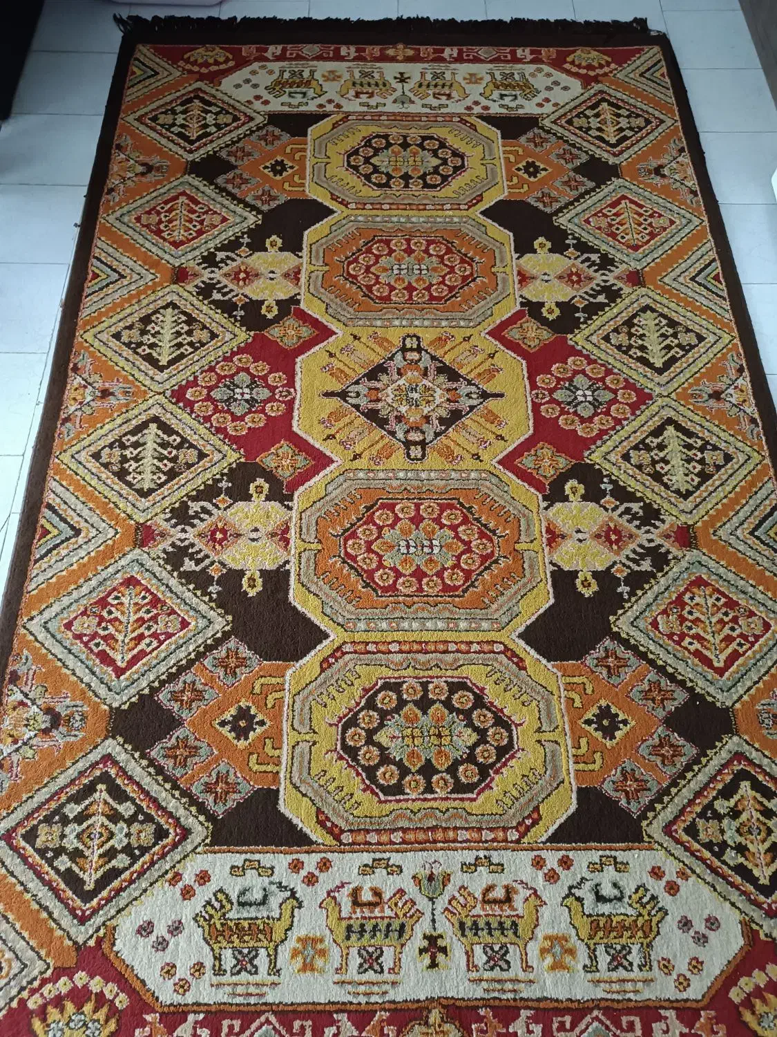 گلیم فرش تمیز و سالم در حد نو|گلیم، جاجیم، گبه|بندرعباس, |دیوار