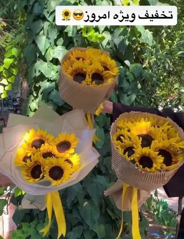 دسته گل آفتابگردون بقچه ایی|گل و گیاه طبیعی|تهران, ورزشگاه آزادی|دیوار