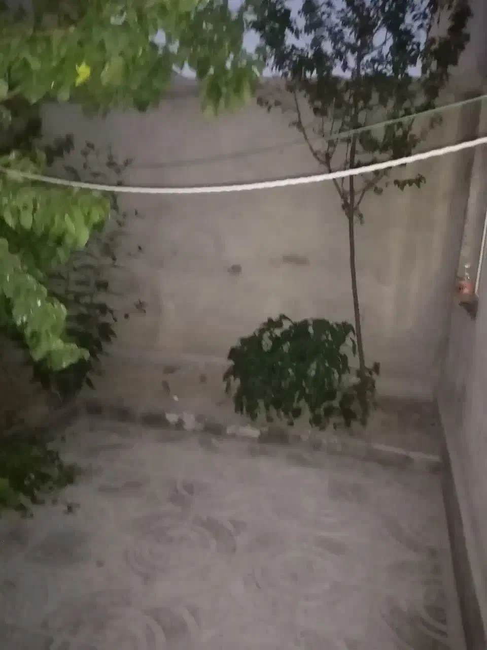 فروش شهرک مهرگان  یک واحد طبقه همکف شمالی عترت 29|فروش آپارتمان|مشهد, شهرک مهرگان|دیوار