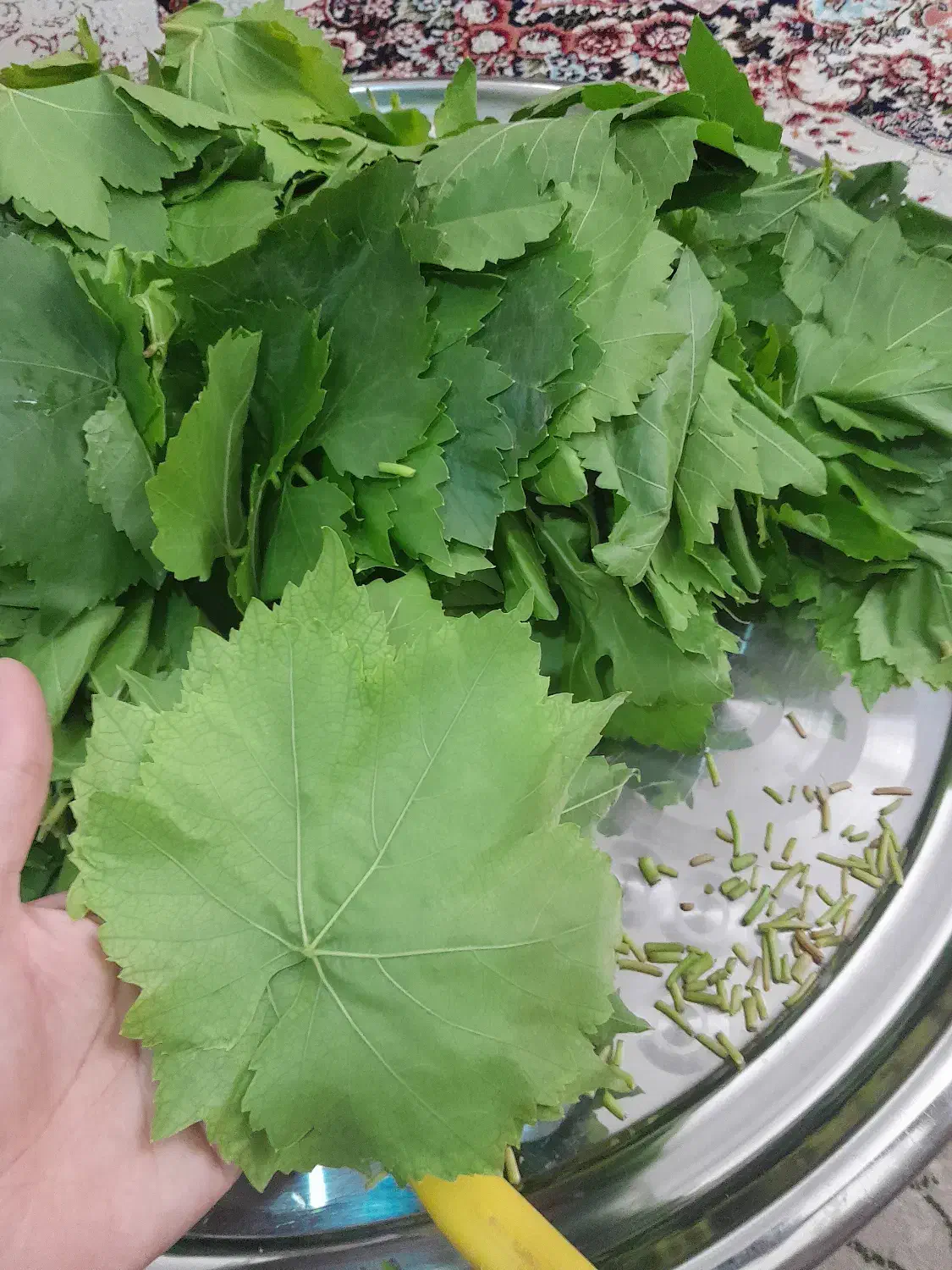 برگ مو مناسب|خوردنی و آشامیدنی|ارومیه, |دیوار