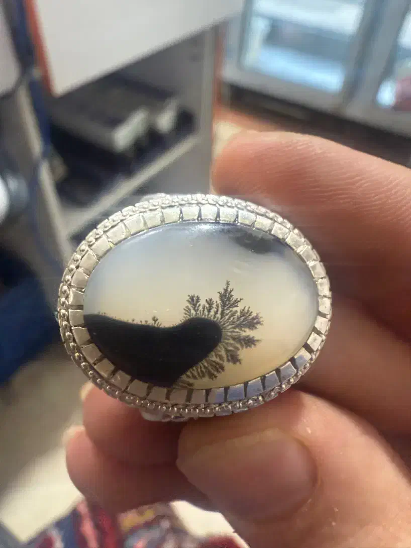 شجر منظره|بدلیجات|اهر, |دیوار