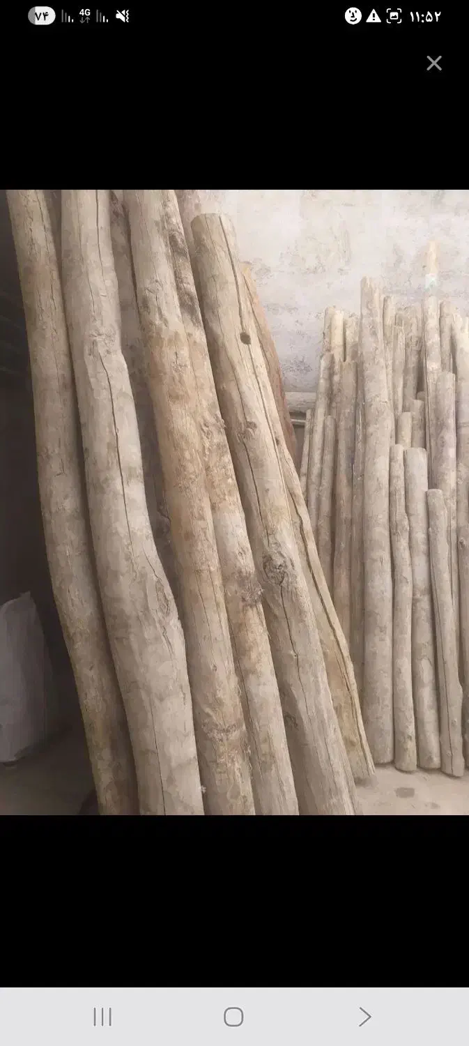 فروش چوبای تیری ،پرواز تیرچه مال یه دامداری هست|عمده‌فروشی|شیروان (خراسان), |دیوار