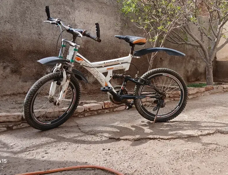 دوچرخه|دوچرخه، اسکیت، اسکوتر|مهربان, |دیوار