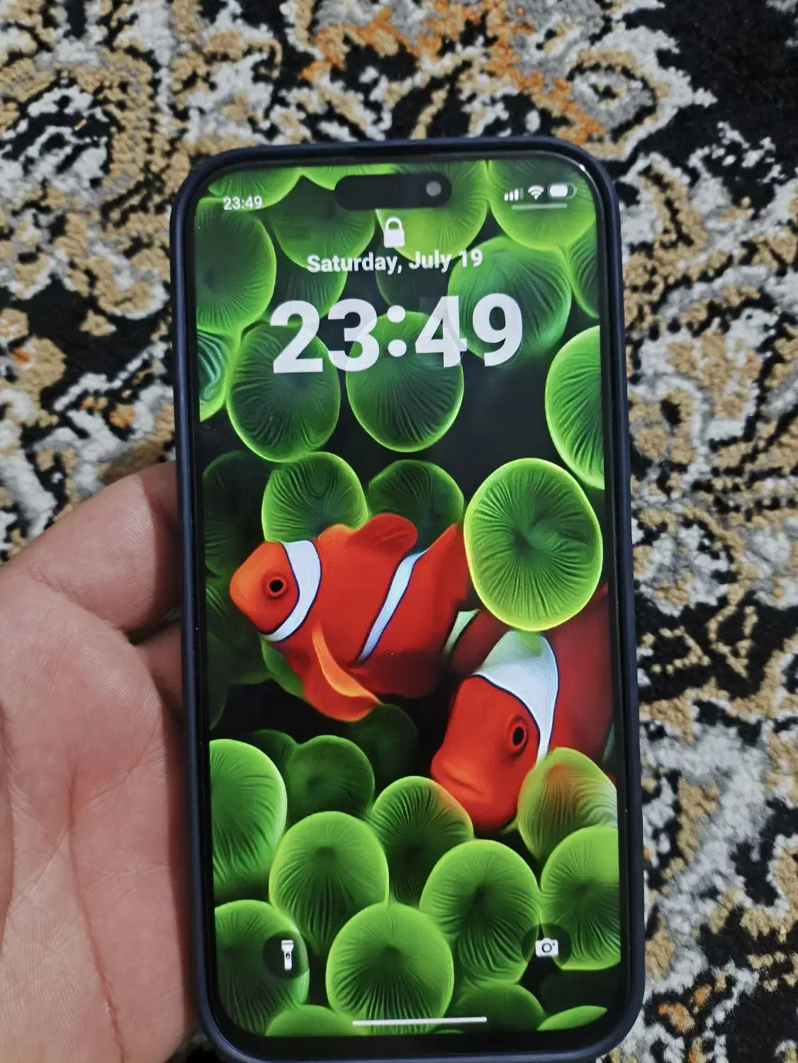 گوشی آیفون ۱۶پرو مکس های کپی با یک ترابایت حافظه|موبایل|شیراز, ملاصدرا|دیوار