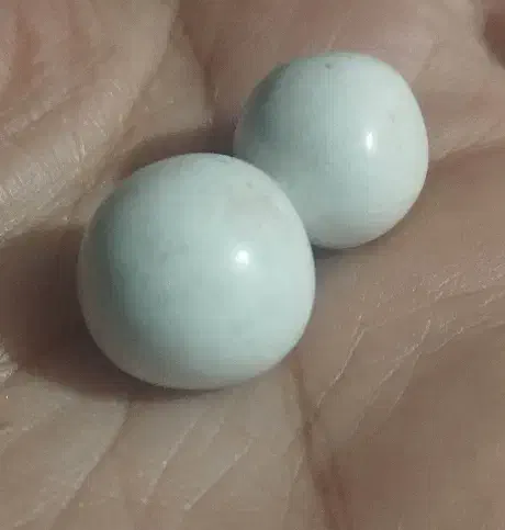 سنگ الماس آسیاب|کلکسیون اشیاء عتیقه|محمدشهر, شهرک چمران|دیوار