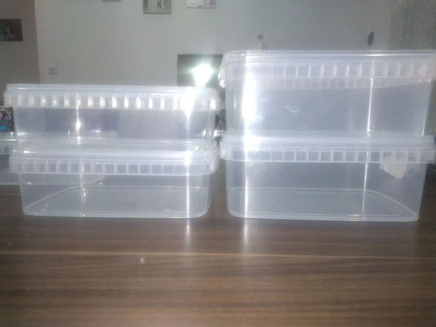 تولید وپخش ظروف ۱۰۰۰و۱۲۰۰ سی سی مایکروویووی|ظروف نگهدارنده، پلاستیکی، یک‌بارمصرف|آستارا, |دیوار