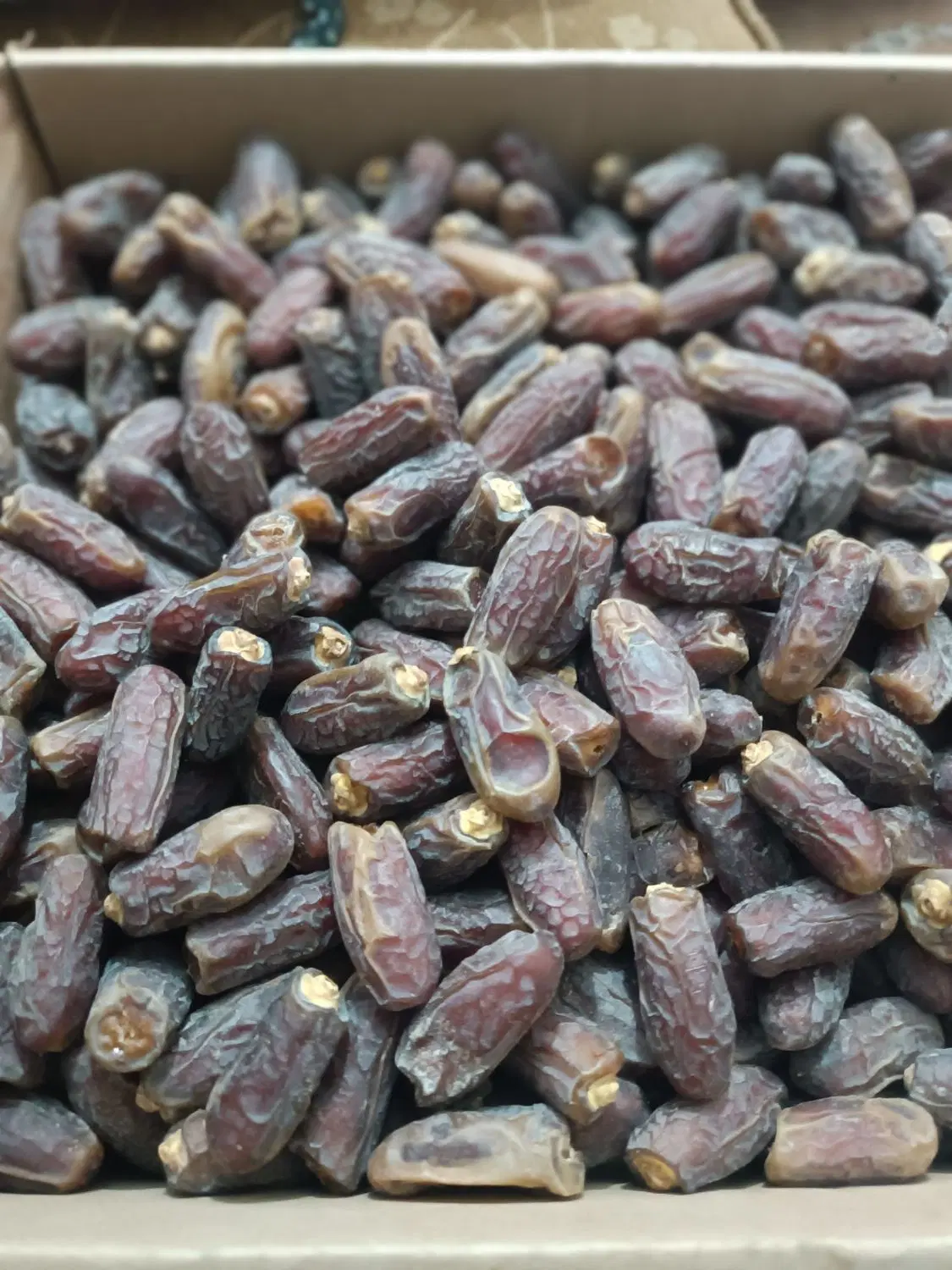 خرمای بیزو|خوردنی و آشامیدنی|تهران, حبیب الله|دیوار