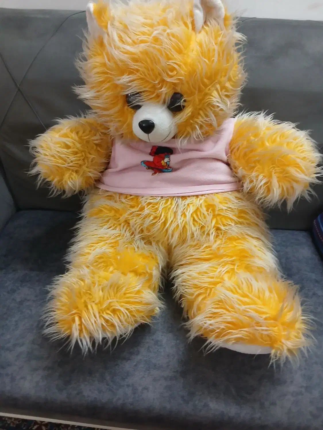 عروسک|اسباب‌‌بازی|رشت, استقامت ۲|دیوار