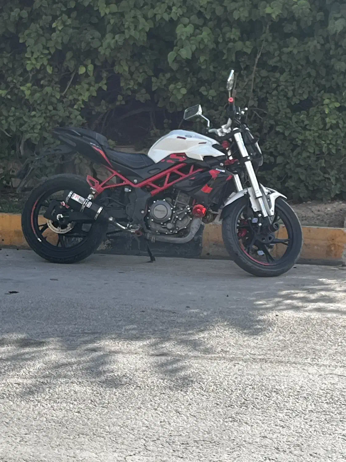 فروش بنلی ۲۵۰ تک|موتورسیکلت|بوشهر, |دیوار