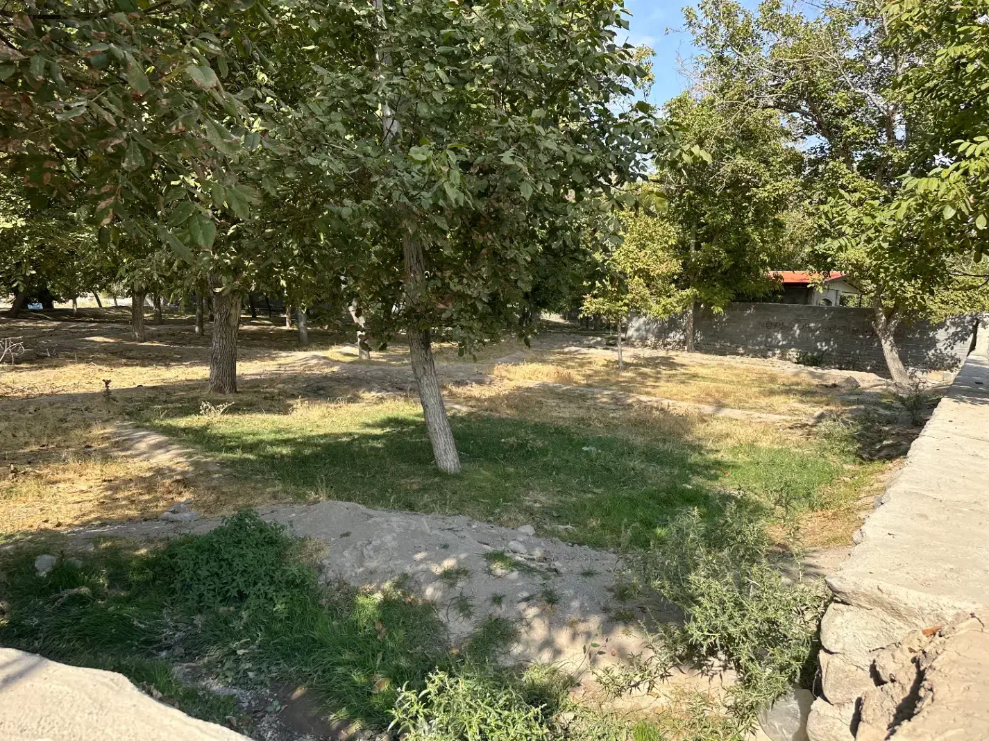 باغ در منطقه خوش آب و هوا باویل|فروش دفتر صنعتی، کشاورزی، تجاری|اسکو, |دیوار