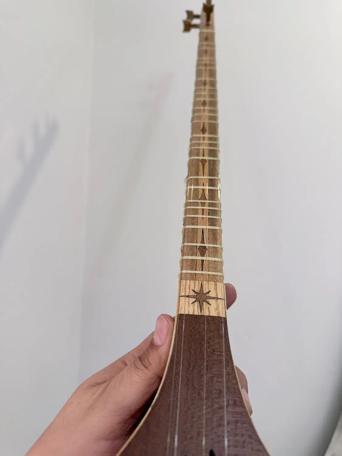 سه تار|سازهای سنتی|ری, شهید غیوری (ابن باویه)|دیوار