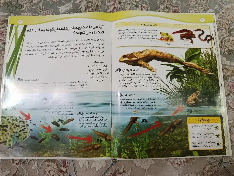 کتاب های علمی بسیار با کیفیت|کتاب و مجله آموزشی|تهران, باشگاه نفت|دیوار