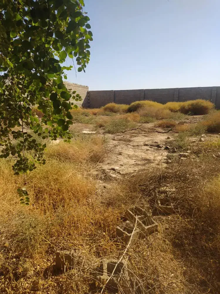 فروش750متر زمین آبادی داوود/ کد آگهی 11008 / nikan|فروش دفتر صنعتی، کشاورزی، تجاری|شوش, |دیوار