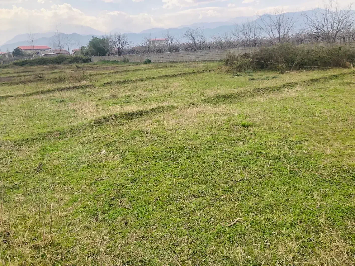 زمین ویلایی در بهترین لوکیشن آذربایجان|فروش زمین و ملک کلنگی|تیکمه داش, |دیوار