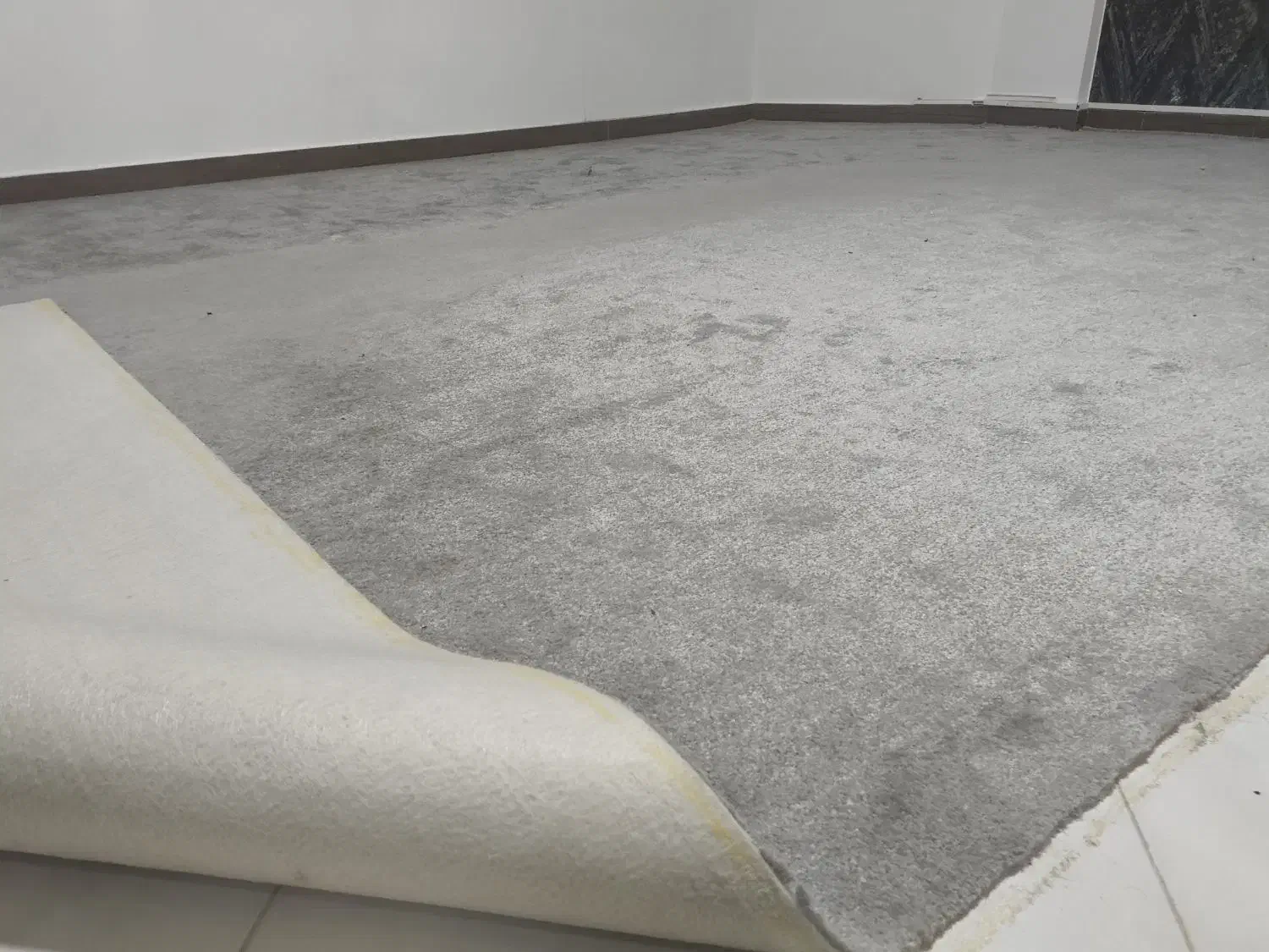 پالاز موکت|موکت|مشهد, جاهد شهر|دیوار