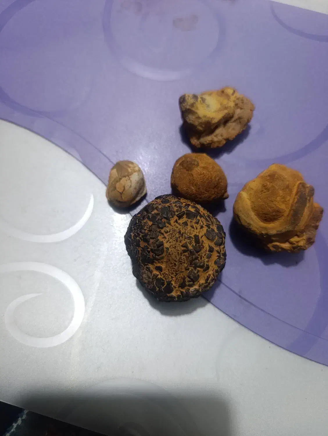 شهاب سنگ|کلکسیون اشیاء عتیقه|یاسوج, |دیوار