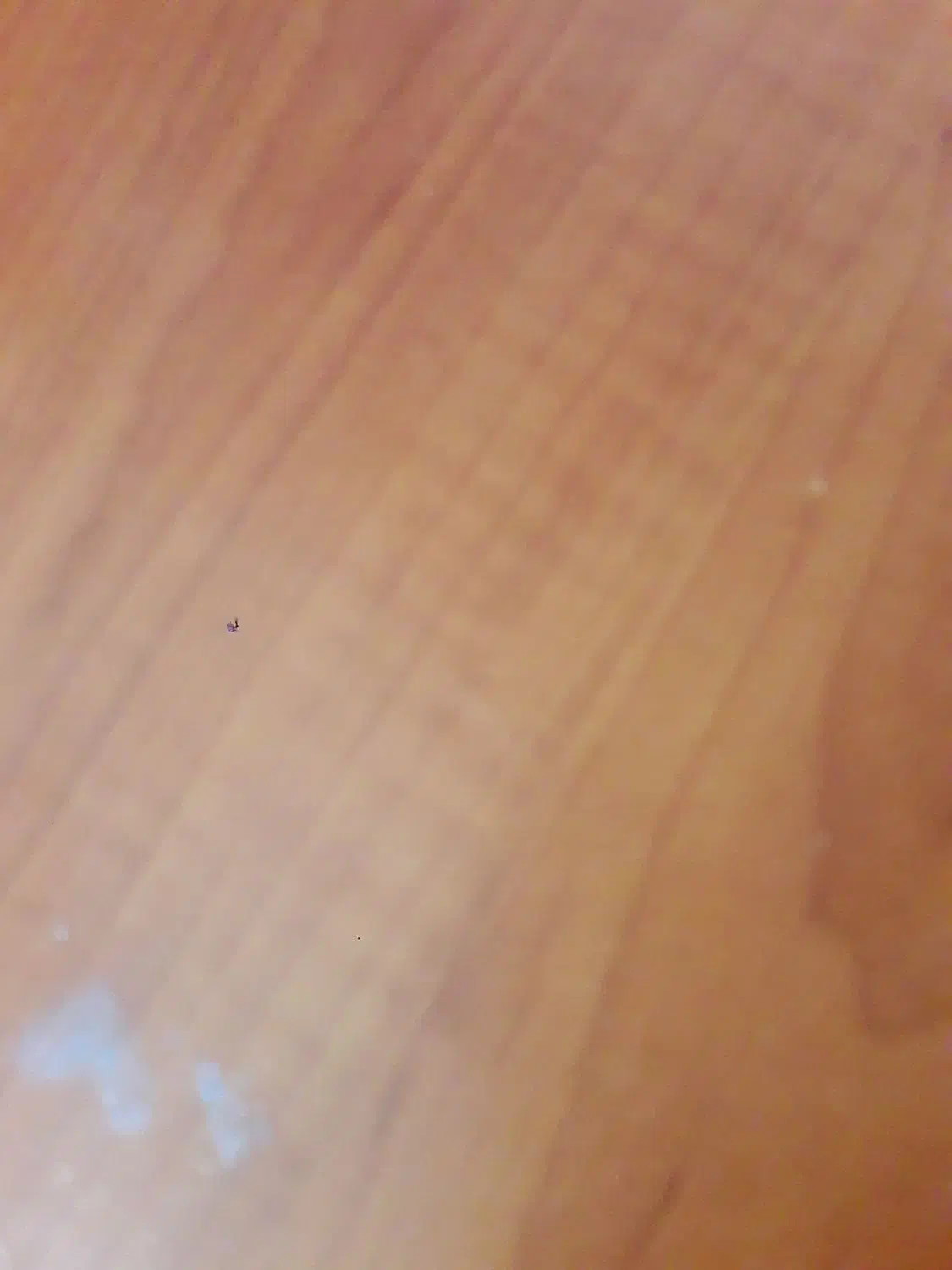 کارت بانکی گمشده|اشیا|رشت, کوی امام رضا|دیوار