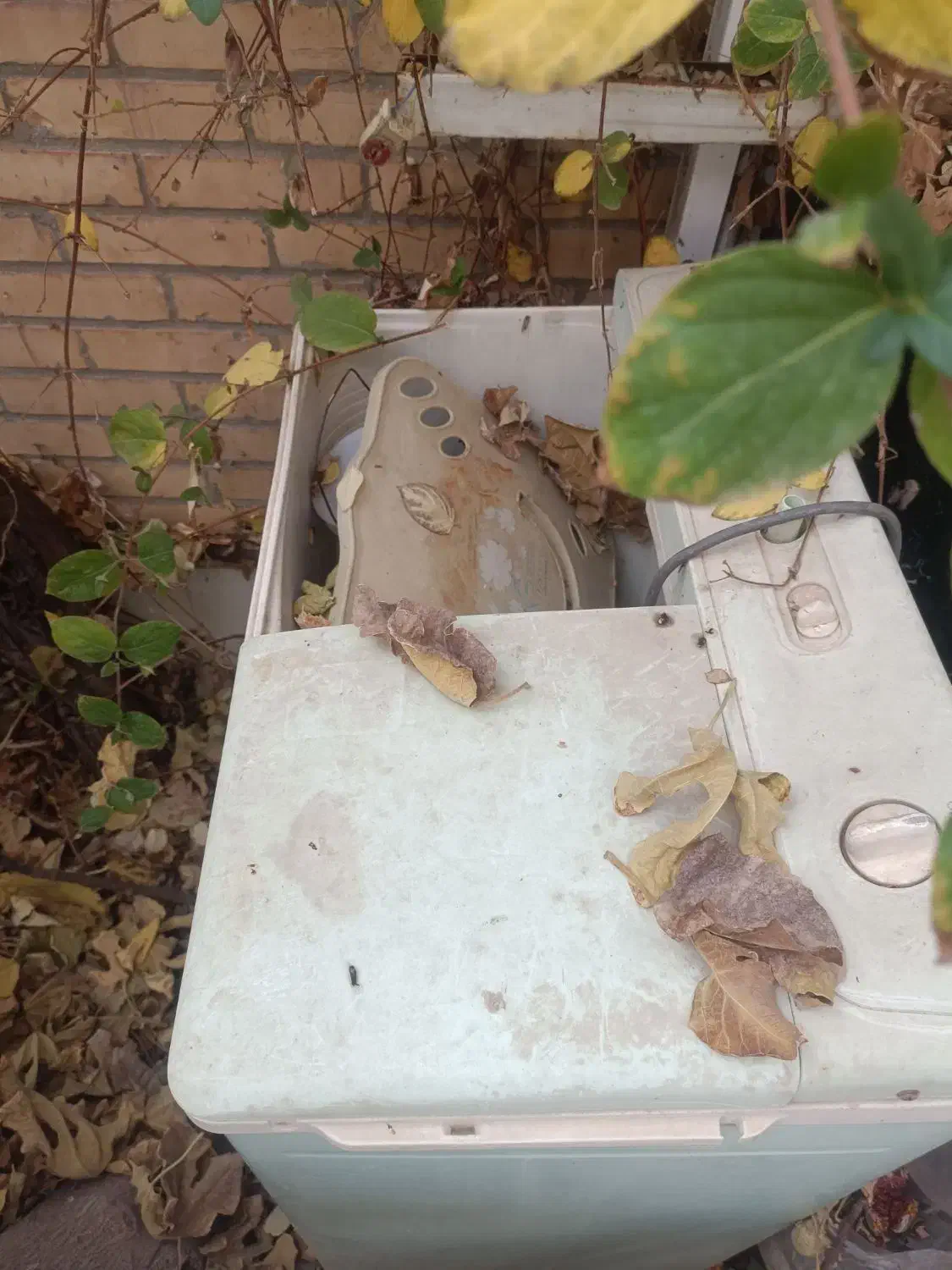 تخت اهنی دونفره ودوعدد ماشین لباسشویی دوقلو|تخت و سرویس خواب|تفت, |دیوار