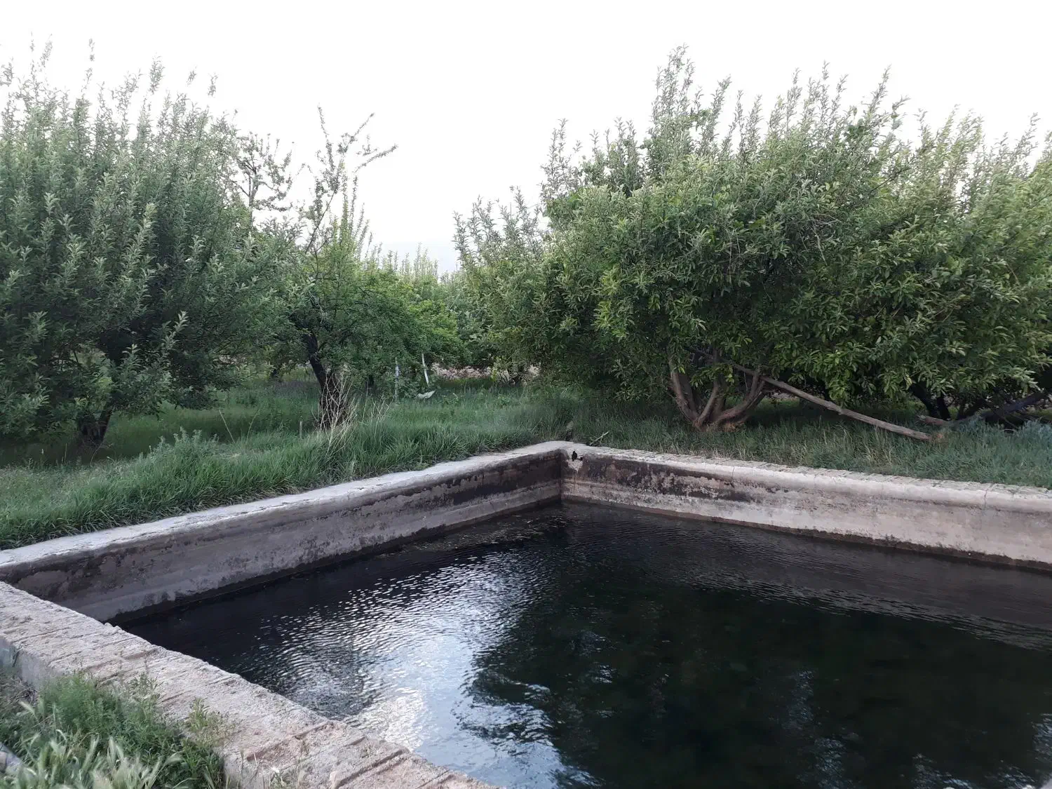 اجاره ویلا در روستای بندیزه|اجارهٔ خانه و ویلا|اشترینان, |دیوار