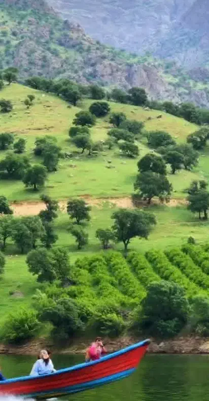 همسفر کیش|فعالیت داوطلبانه تحقیقاتی|یزد, |دیوار