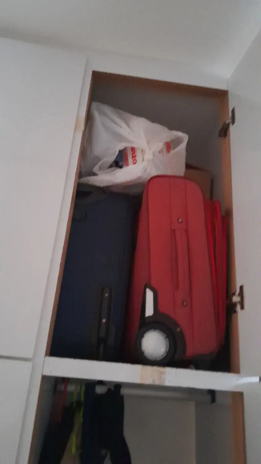 چند عدد چمدان|کیف، کفش، کمربند|بوشهر, |دیوار