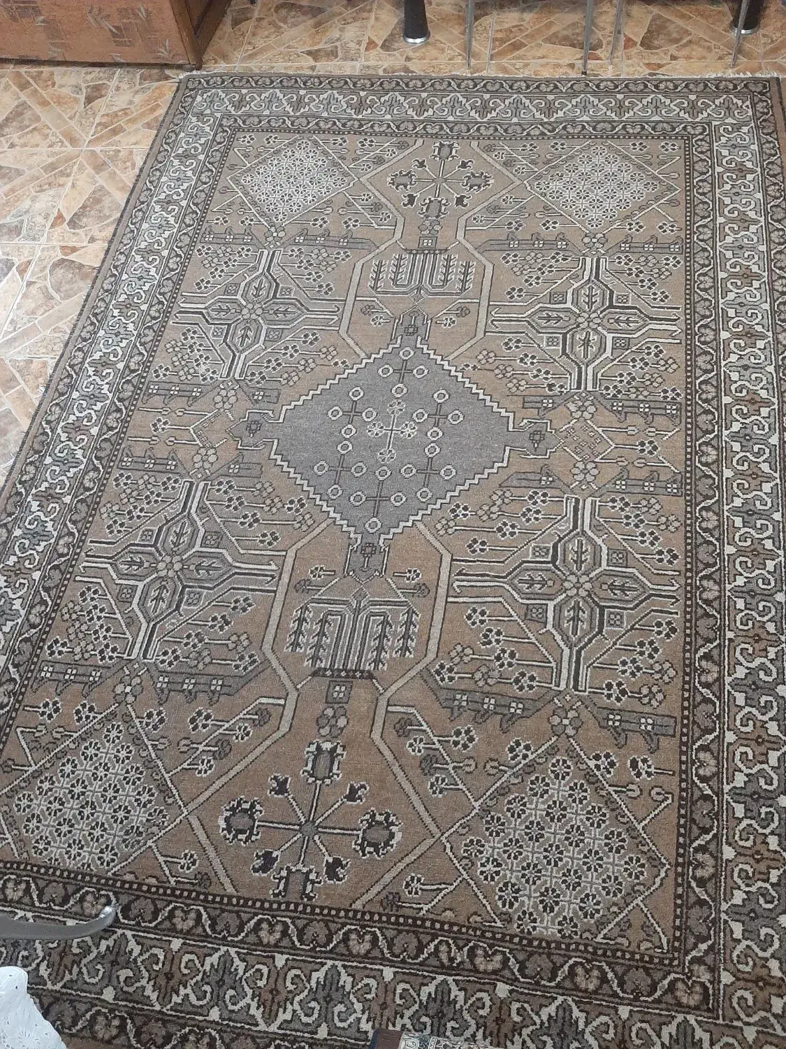 فرش دستباف ۶ متری|فرش|رشت, سیا اسطلخ|دیوار