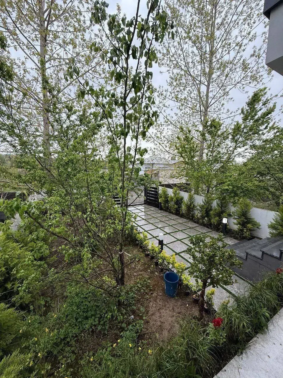 ویلا 200متری پلاک اول جنگل / نوساز با سند / 2م کل|فروش خانه و ویلا|آمل, |دیوار