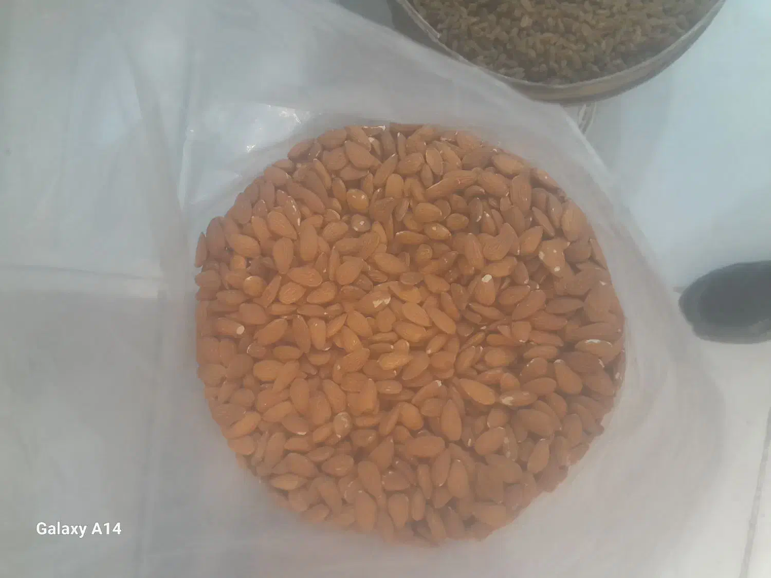 اتوپرس درحدنو قیمت ۶ ملیون مقطوع|خوردنی و آشامیدنی|مشهد, مقدم|دیوار