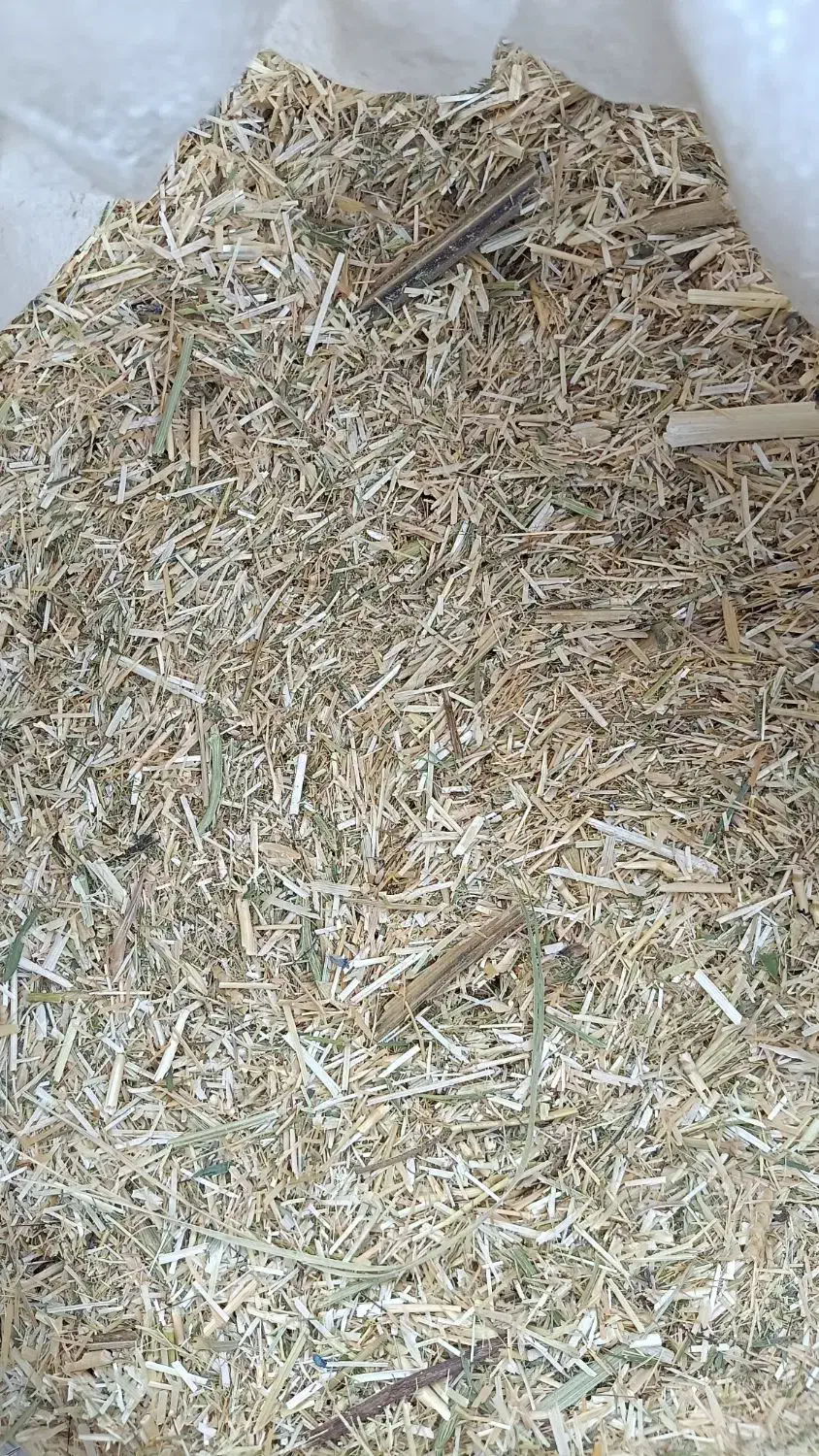 کاه و علف|لوازم جانبی حیوانات|منج, |دیوار