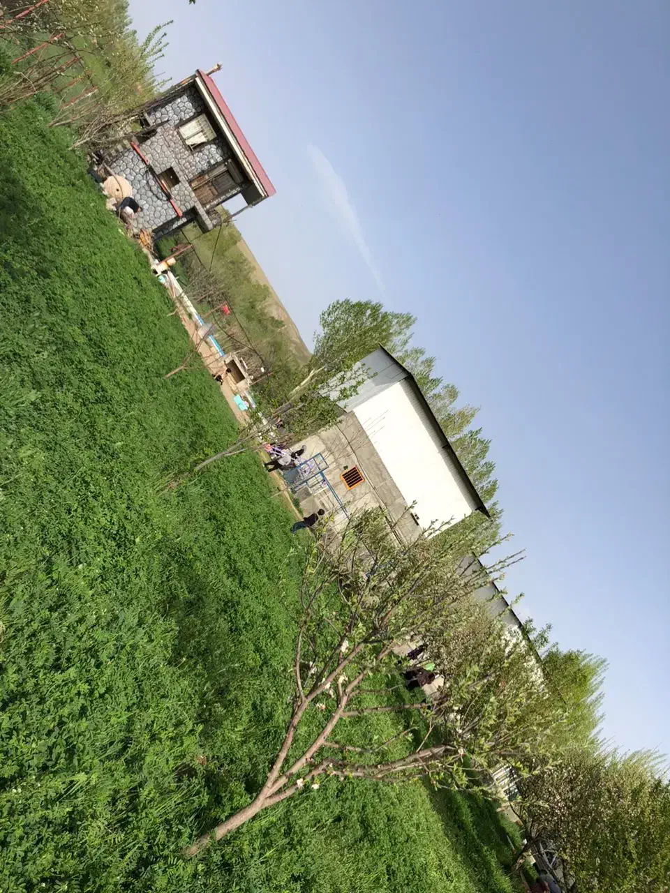 فروش گاوداری /۵/۶۰۰متر/سند تک برگ|فروش دفتر صنعتی، کشاورزی، تجاری|تیکمه داش, |دیوار