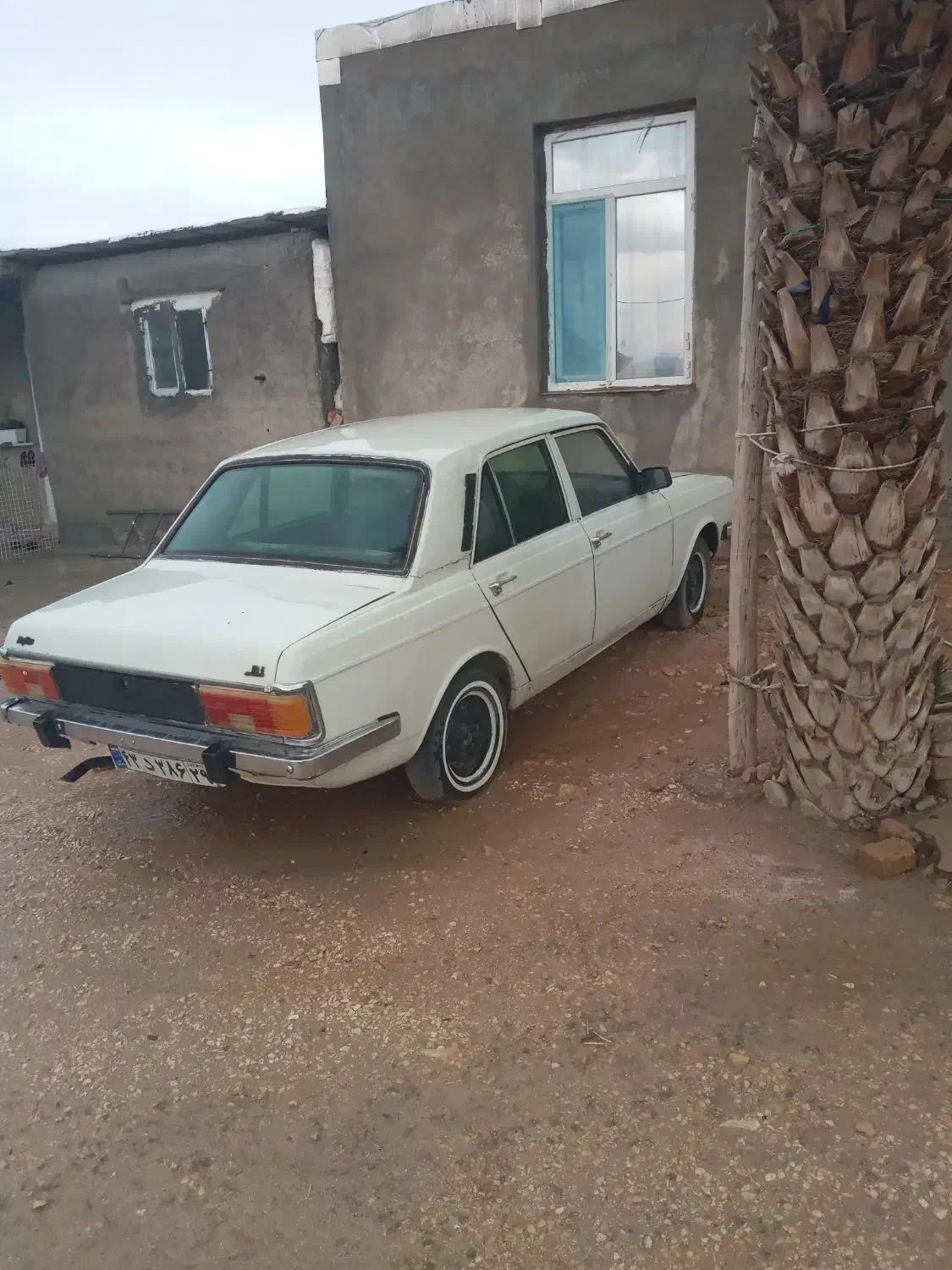 پیکان ۸۱ دوگانه ال پی جی|خودرو اجاره‌ای|سرپل ذهاب, |دیوار