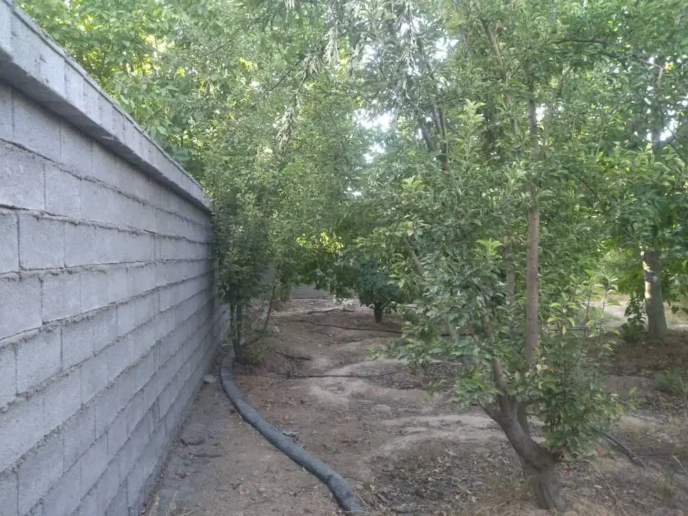 باغ باغچه/1000متر/شهر فاروق|فروش زمین و ملک کلنگی|شیراز, کوی فرهنگیان|دیوار