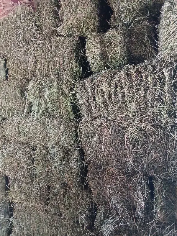 یونجه قالبی و خرمنکوب شده چین چهار پر گل|عمدهفروشی|صحنه, |دیوار